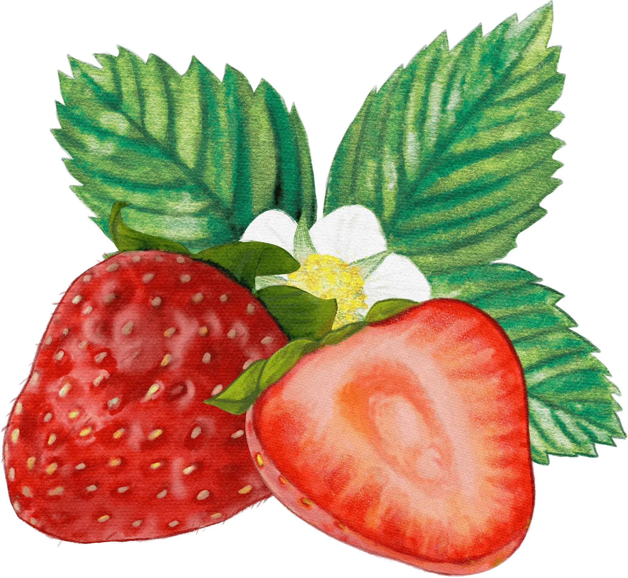 Fruit & flower