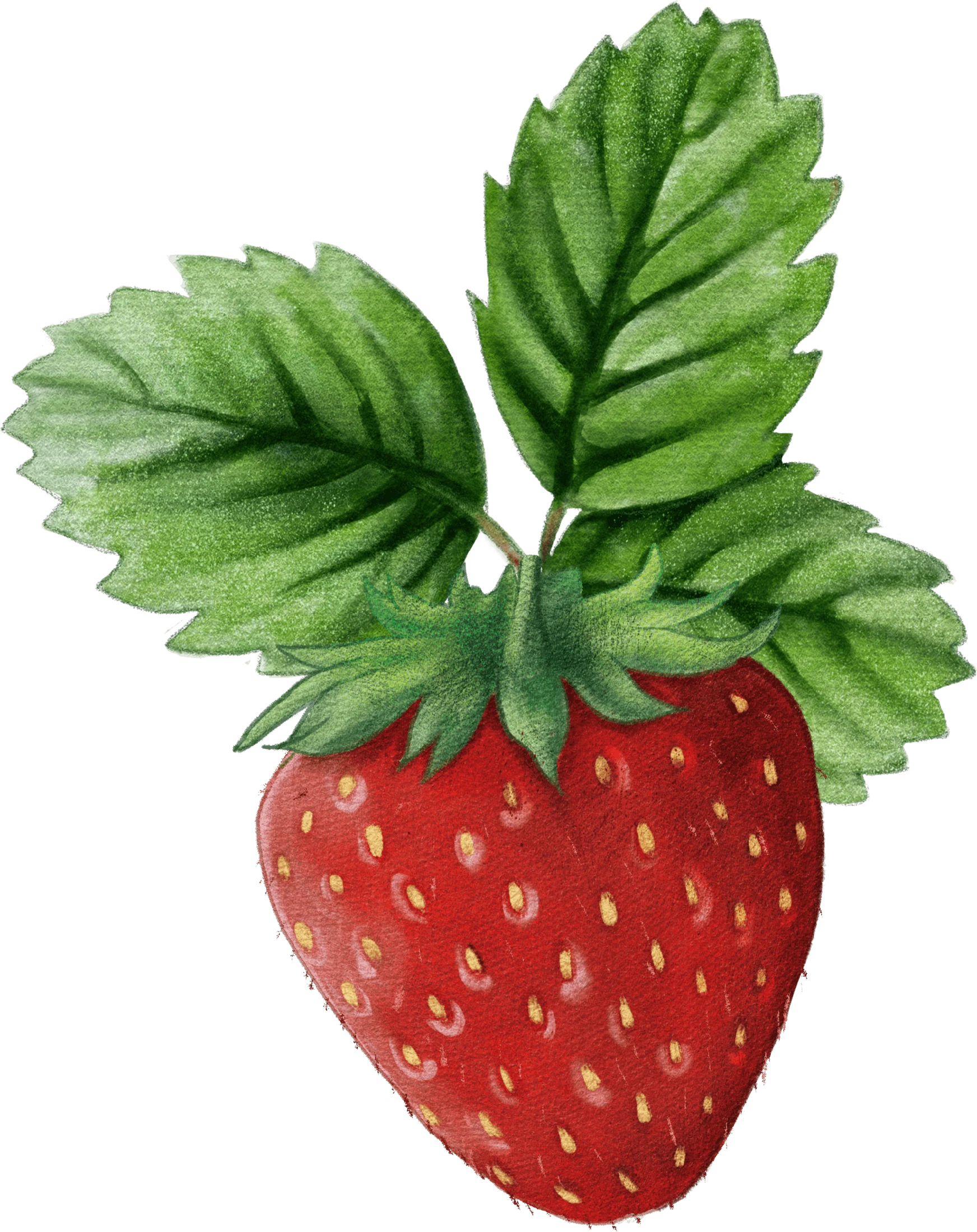 Single fruit composition
