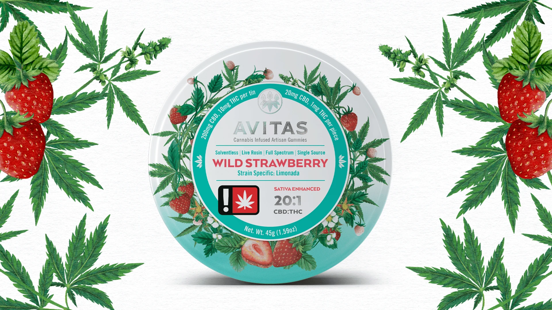 Developed Wild Strawberry concept.