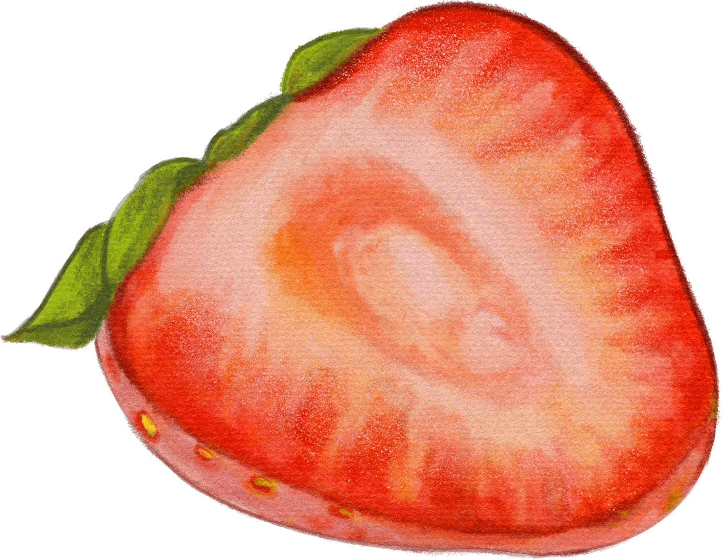 03 / Strawberry cross-section / 02