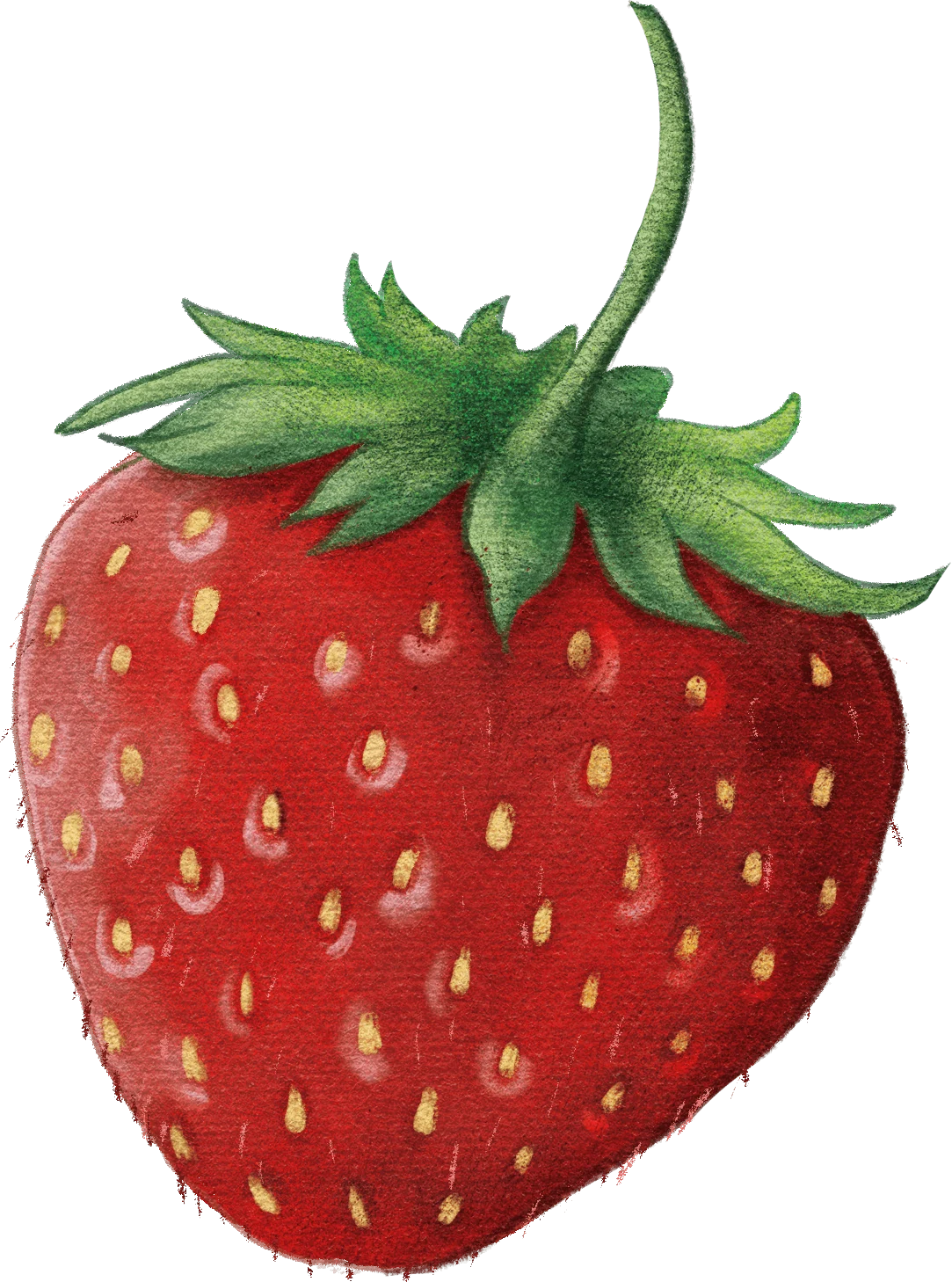 01 / Whole strawberry