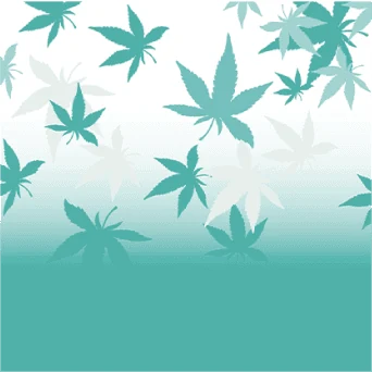 Foliage