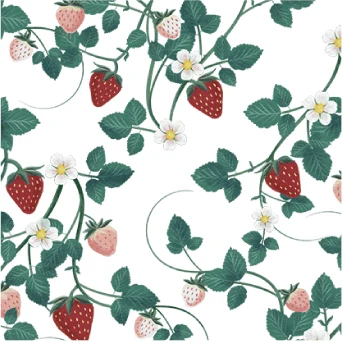 Fruit