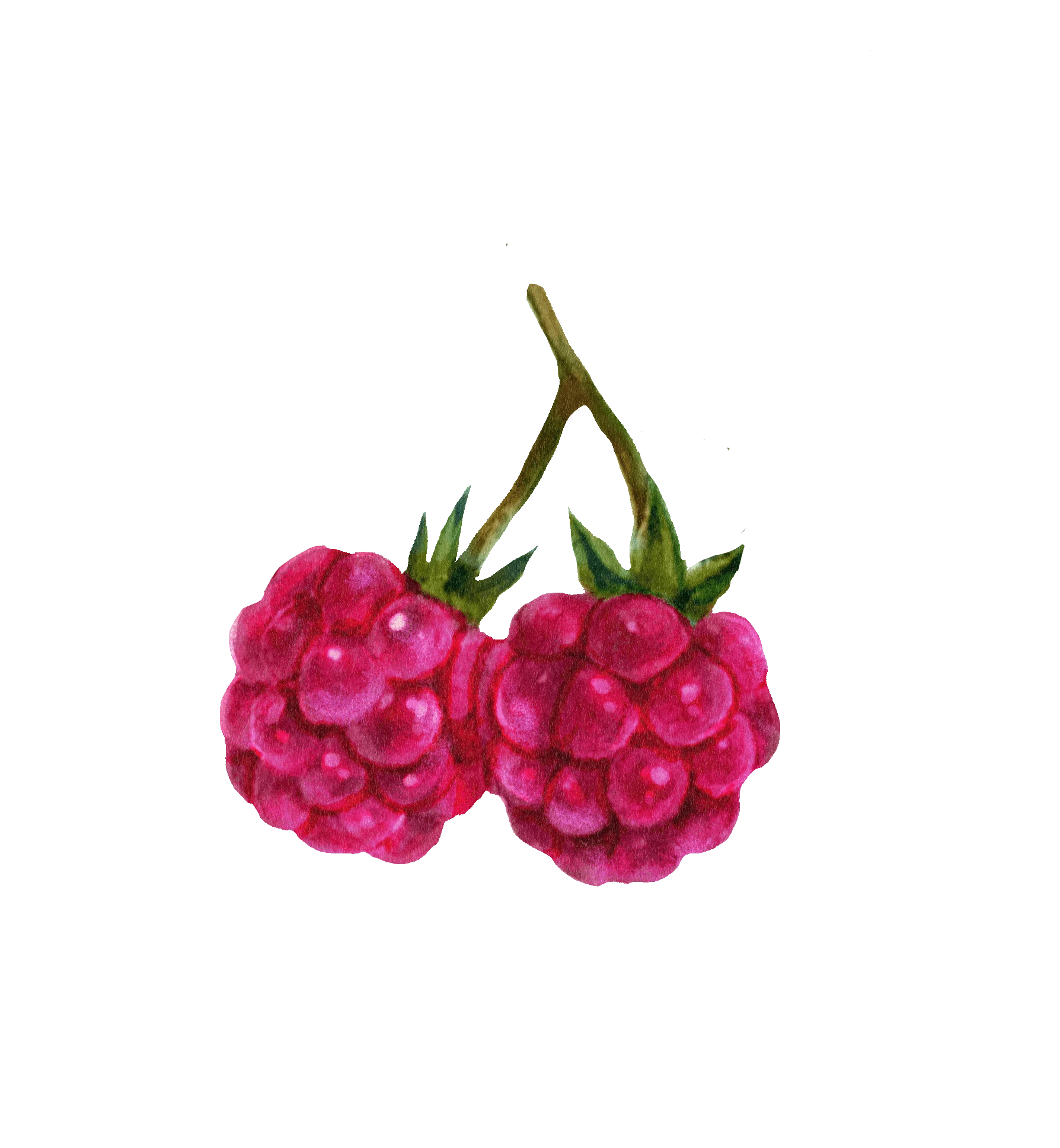 06 / Raspberry pair
