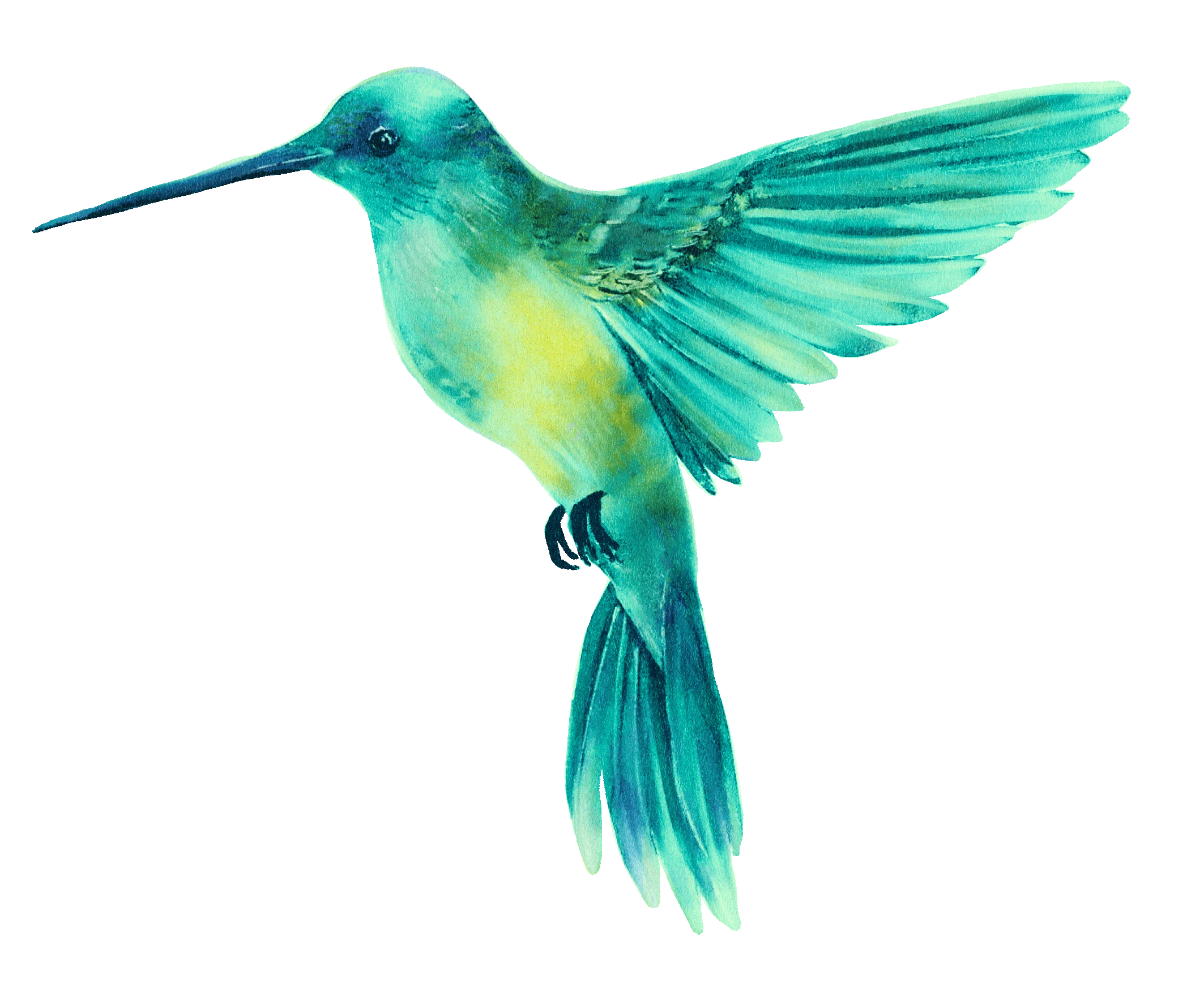 The lead illustration / AVITAS turquoise