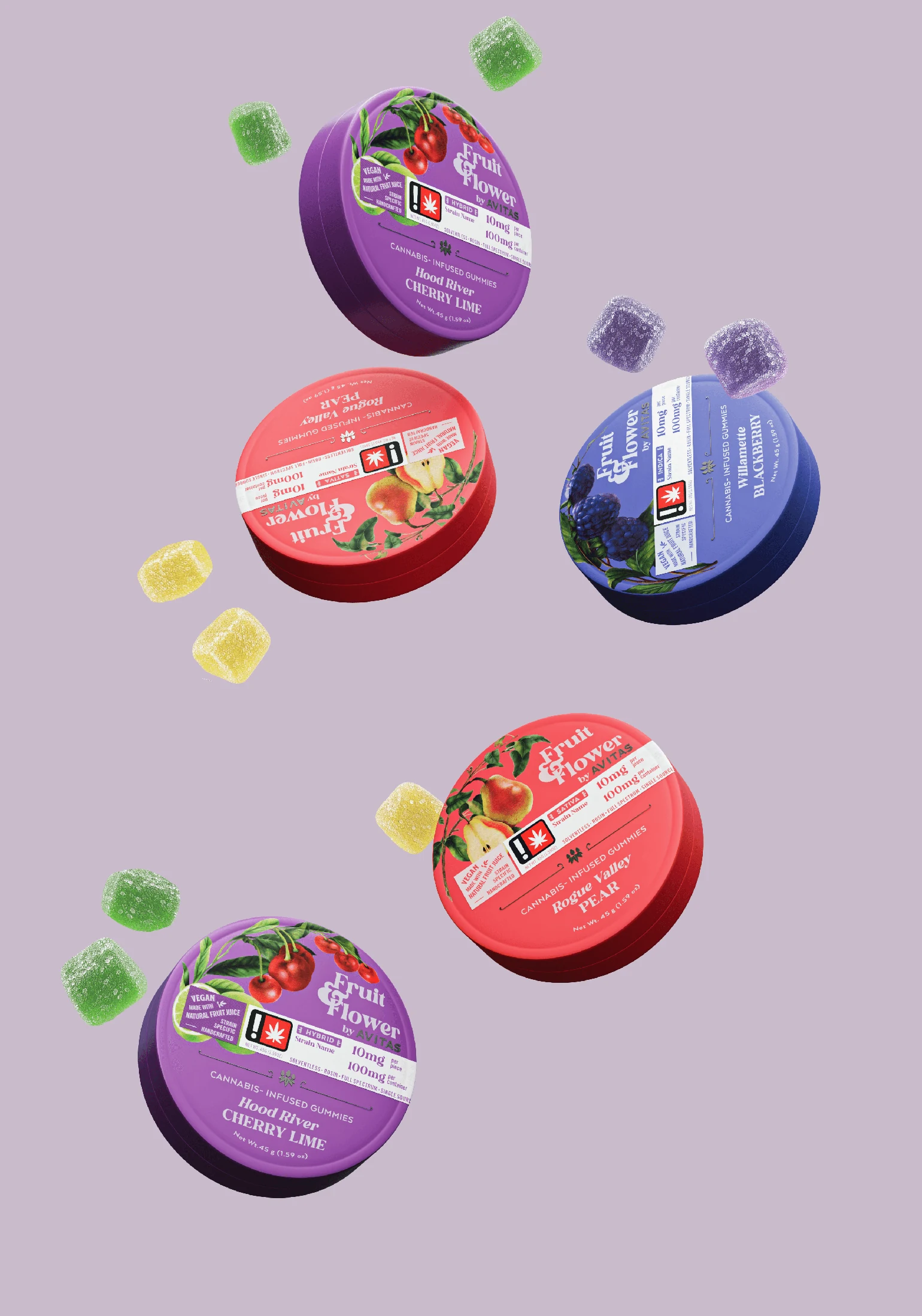 Packaging family rendering — the final direction brought to fruition in Q4 2023.