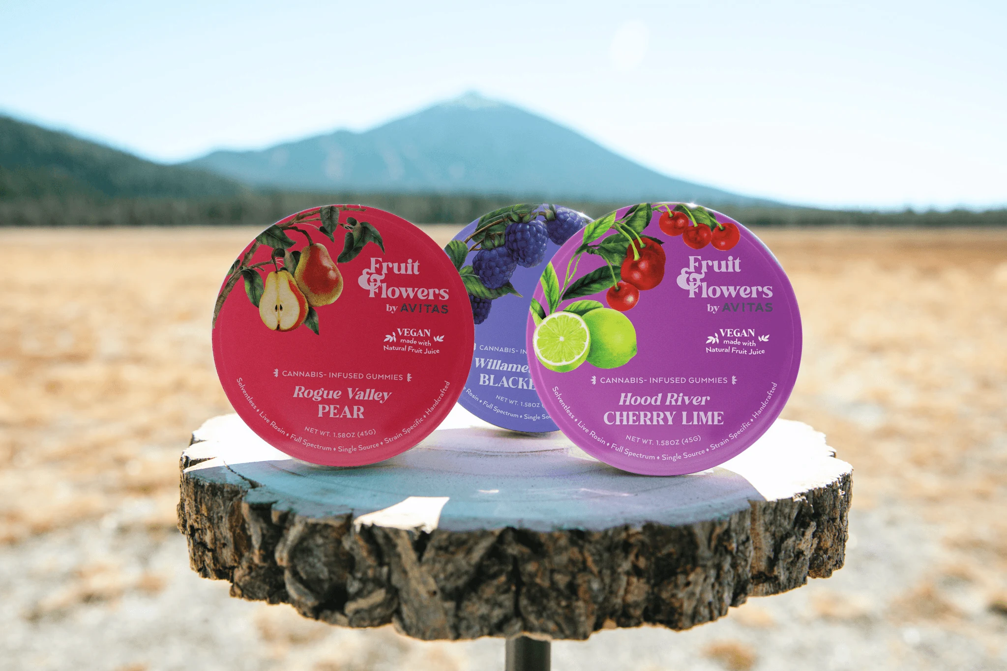 The finished Fruit & Flowers tin family photographed outdoors in Oregon.